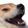 Dogeke